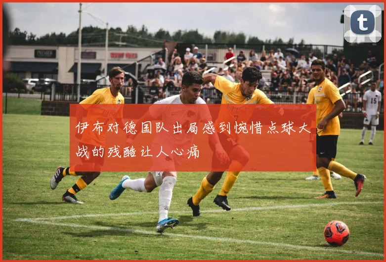 伊布对德国队出局感到惋惜点球大战的残酷让人心痛