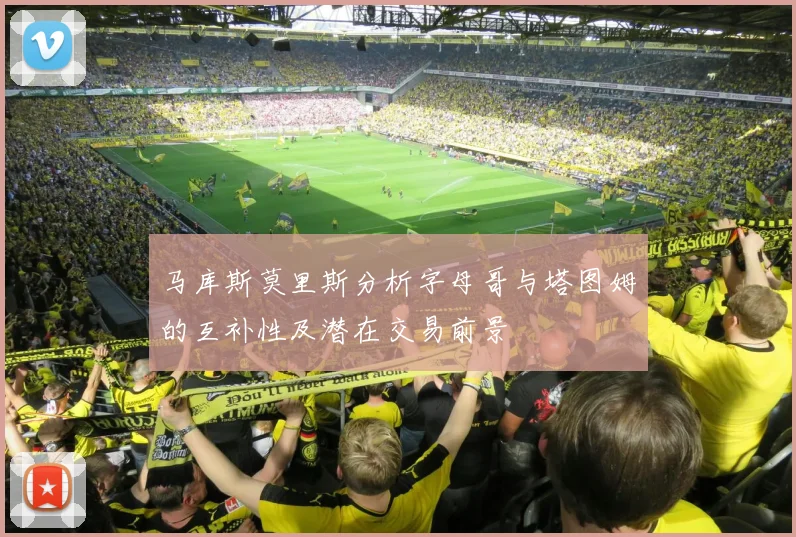 马库斯莫里斯分析字母哥与塔图姆的互补性及潜在交易前景
